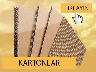 KARTONLAR